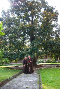 in preghiera sotto la magnolia